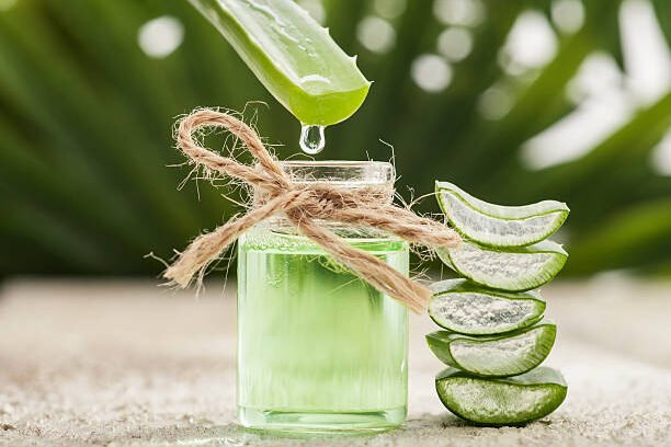 Aloe vera essential oil on tropical leaves background